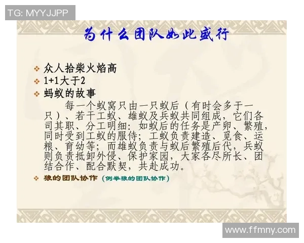 成都篮球队在奥运会上的精彩配合与团队精神展现分析