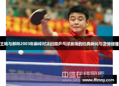 王皓与郝帅2003年巅峰对决回顾乒乓球赛场的经典瞬间与激情碰撞